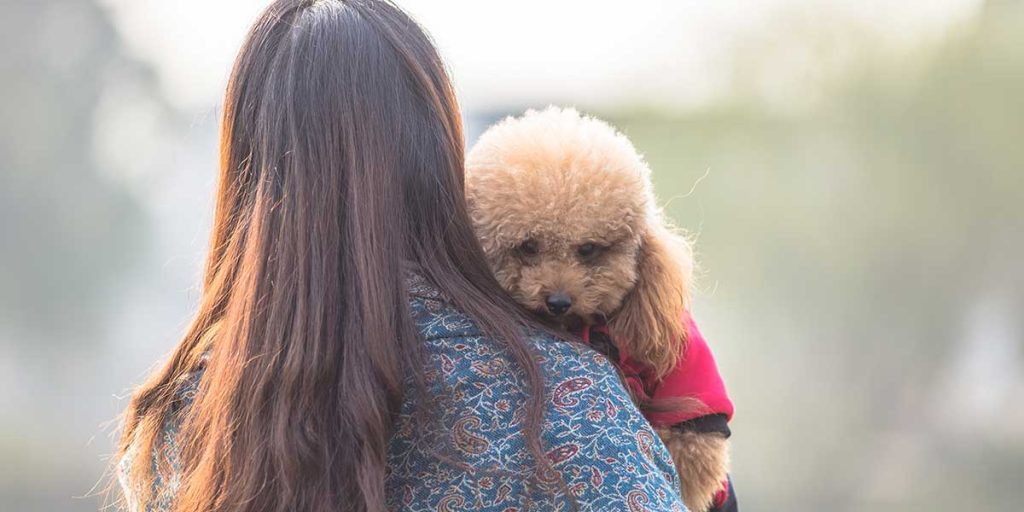 Rear view of a woman holding a small, fluffy brown poodle resting its head gently on her shoulder outdoors.